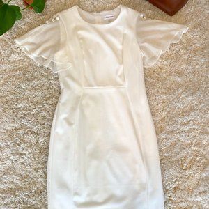 Calvin Klein Sheath Style Dress with Angel Sleeves